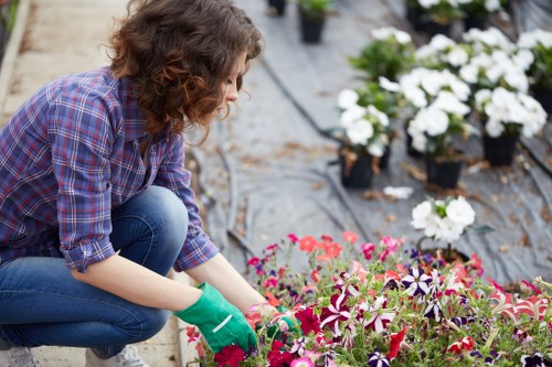 Low-maintenance planting and lawn ideas for a Lea Bridge garden