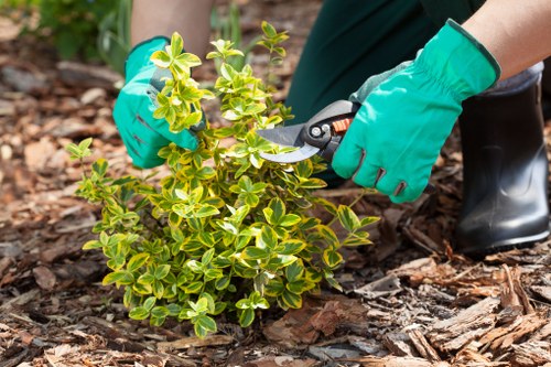 Lea Bridge gardeners improving plants and borders