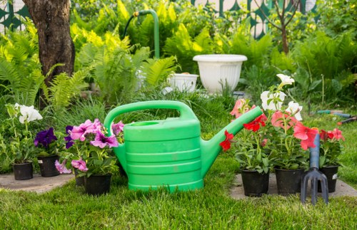 Professional garden maintenance in Lea Bridge with lawn and hedge care
