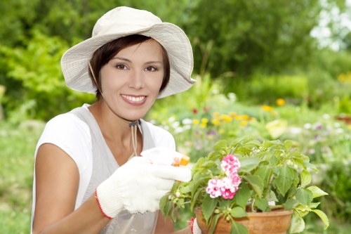Professional Lea Bridge garden maintenance showing hedge trimming and lawn care
