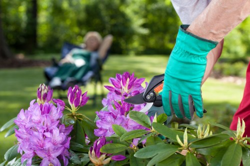 Example garden waste job pricing in a Lea Bridge property