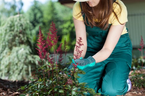 Regular gardening services in Lea Bridge for a clean, vibrant garden