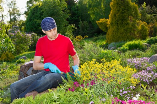 Seasonal lawn maintenance in Lea Bridge for greener turf