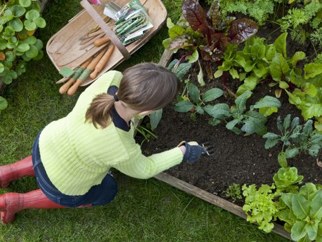 Professional Gardeners Lea Bridge completing a secure final tidy-up