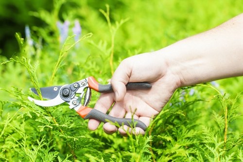 Seasonal patio cleaning and maintenance for Lea Bridge properties