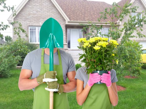Professional garden care in Lea Bridge with lawn maintenance