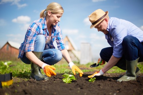 Free quote policy for Gardener Lea Bridge services