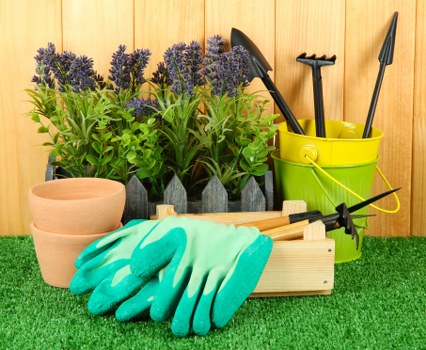 Reporting and supplier compliance safeguards