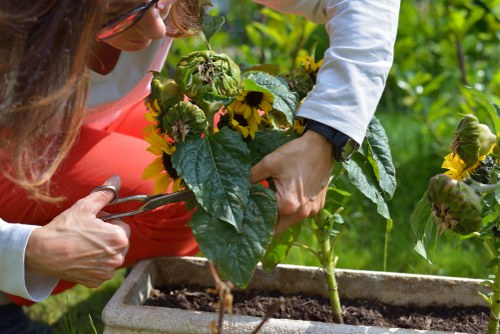 Load-based garden clearance rates explained for Lea Bridge