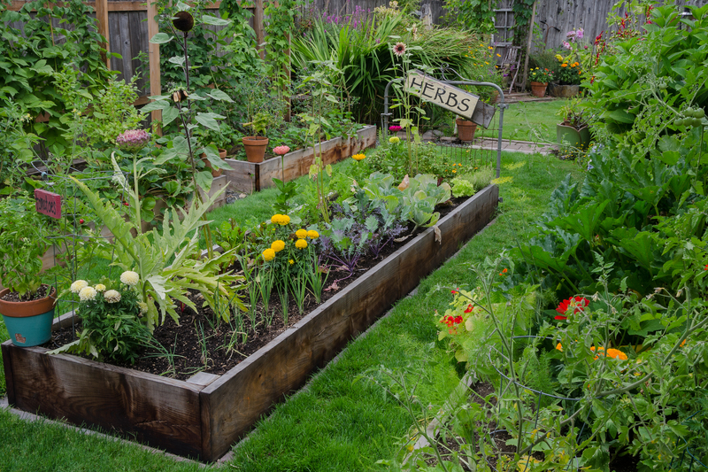 garden outdoor space
